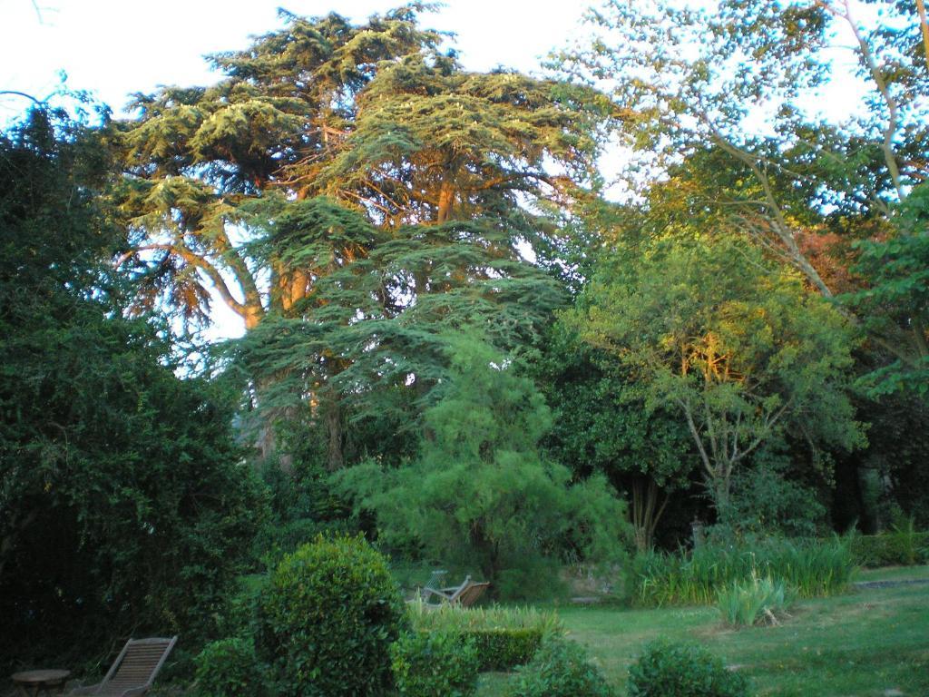 Manoir De Boisairault Bed & Breakfast Le Coudray-Macouard Екстериор снимка