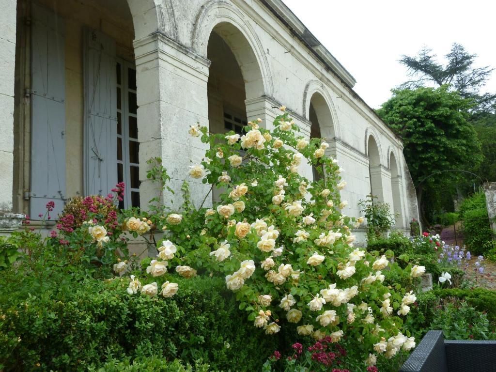 Manoir De Boisairault Bed & Breakfast Le Coudray-Macouard Екстериор снимка